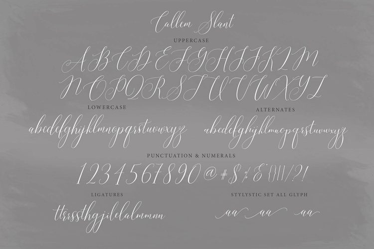 handwritten calligraphy fonts