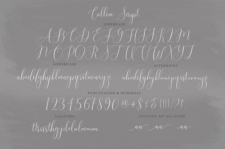 handwritten calligraphy fonts