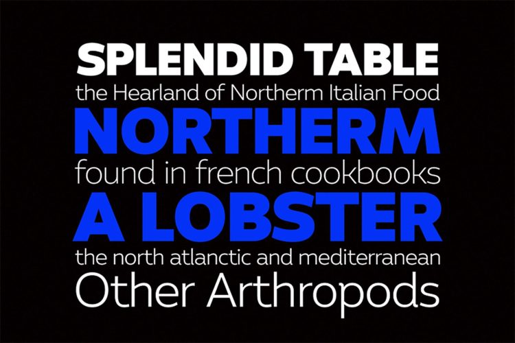 Sans Serif Font Family